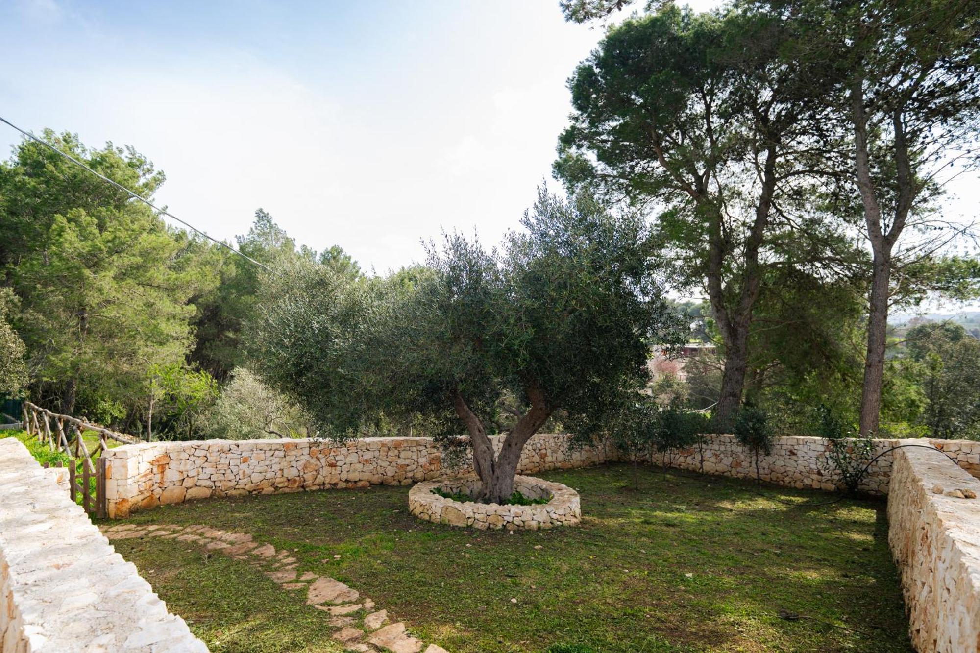 Villa Trulli Magda Martina Franca Exterior foto